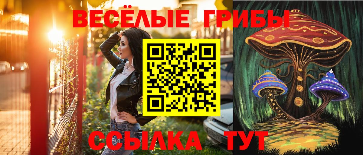 Новозыбков  где можно купить наркотик  Вход с VPN  Галлюциногенные грибы Psilocybe 
