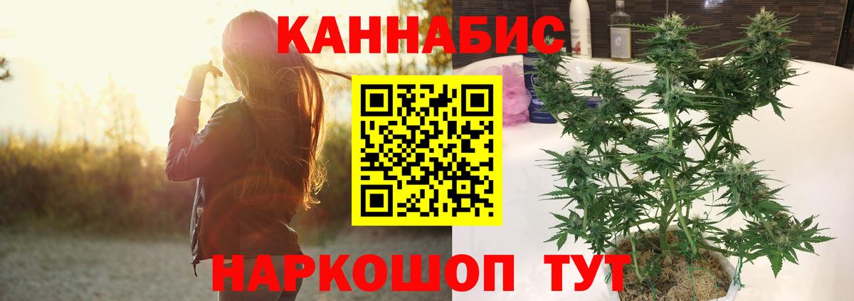 Новозыбков  Бошки Шишки VHQ  МАРИХУАНА план  Вход с VPN  Бошки Шишки White Widow  Каннабис ГИДРОПОН 